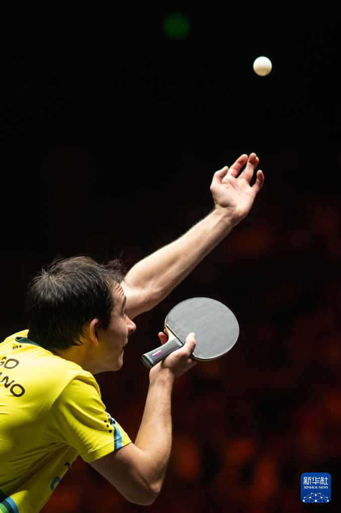 不认为会输 不认为会输